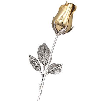 Cornici in argento: Rosa Dallas Dorata Chiusa in Astuccio cm.25
