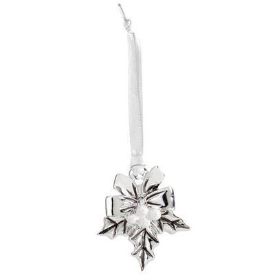 Cornici in argento: Agrifoglio Argento Glitter Bianco 