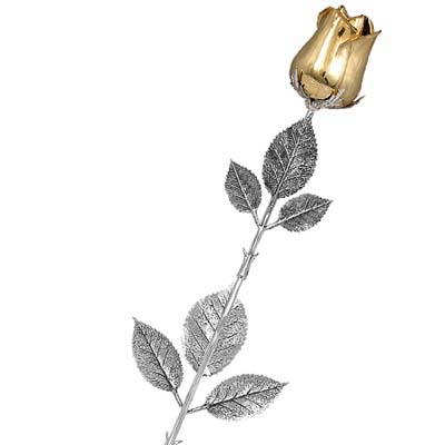 Cornici in argento: Rosa Dallas Bocciolo Dorato Aperto Argento L.cm.48